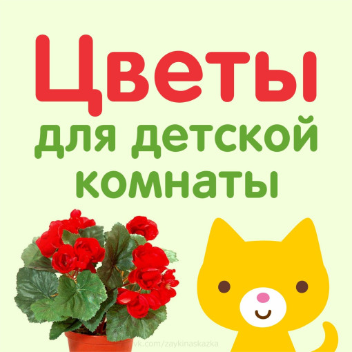 Полезные цветы для детской комнаты Полезные цветы для детской комнаты.