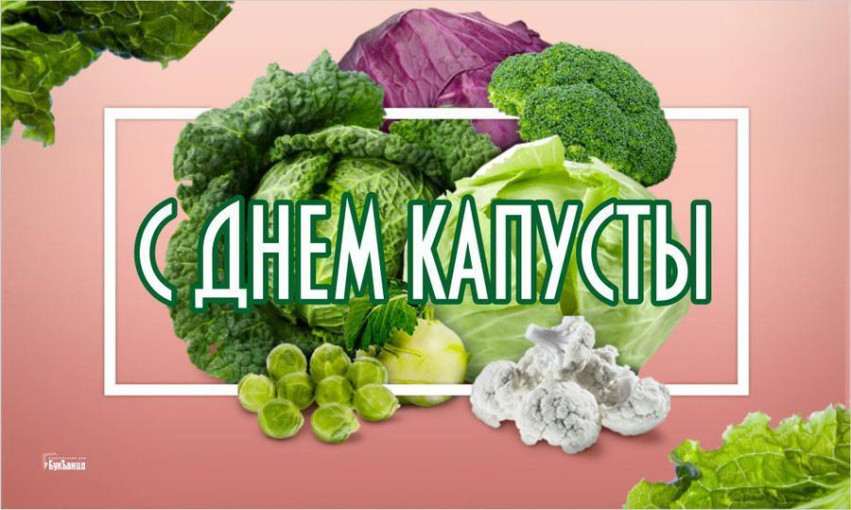 ✨ Всемирный день капусты! ✨ Всемирный день капусты!.